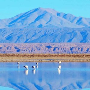 Laguna Chaxa e Toconao