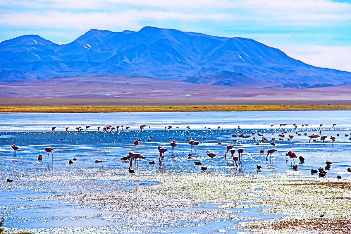 reserva-dos-flamingos
